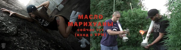 мдпв Бородино