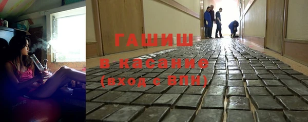 мдпв Бородино
