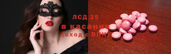 мдпв Бородино