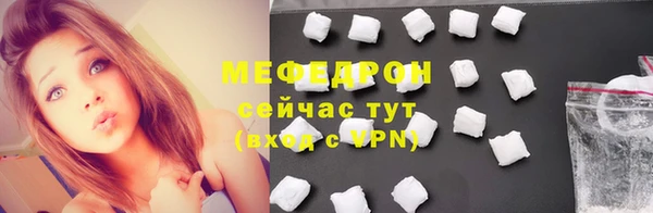 мдпв Бородино