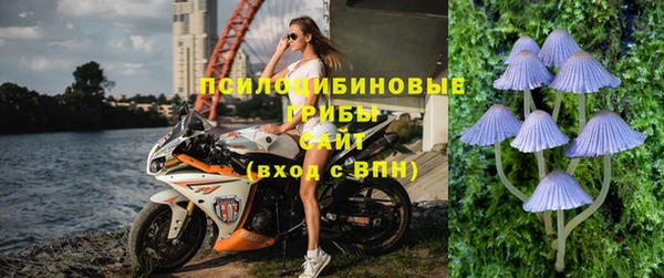хмурый Бронницы