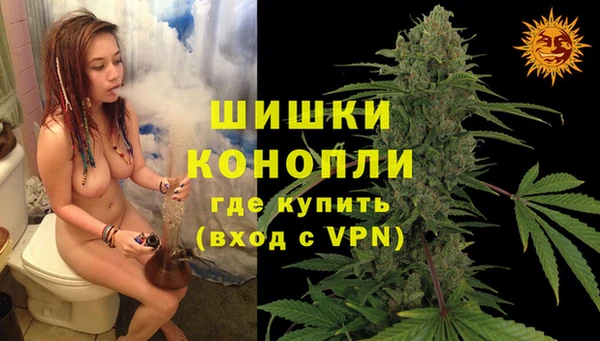 мдпв Бородино