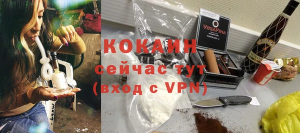 мдпв Бородино