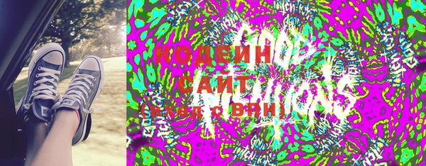 мдпв Бородино