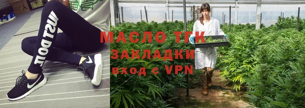 мдпв Бородино